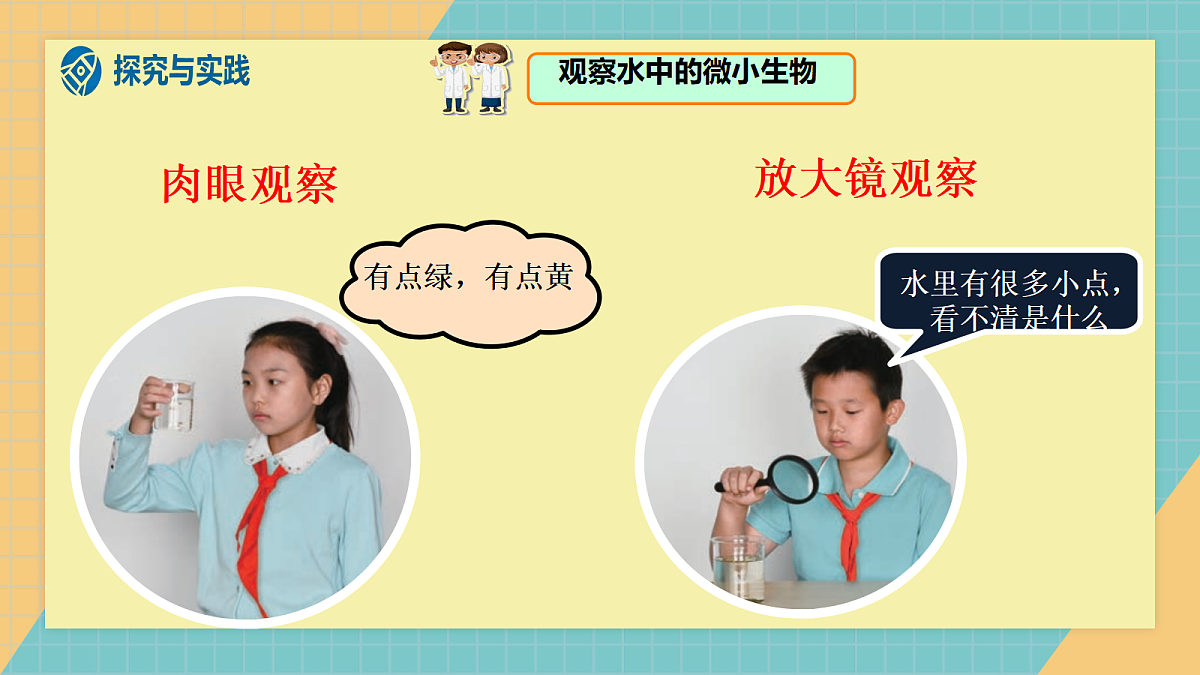 1.1《水中的微小的生物》课件+实验视频第4页