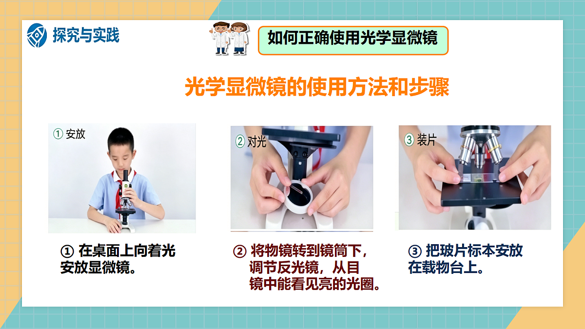 1.1《水中的微小的生物》课件+实验视频第7页