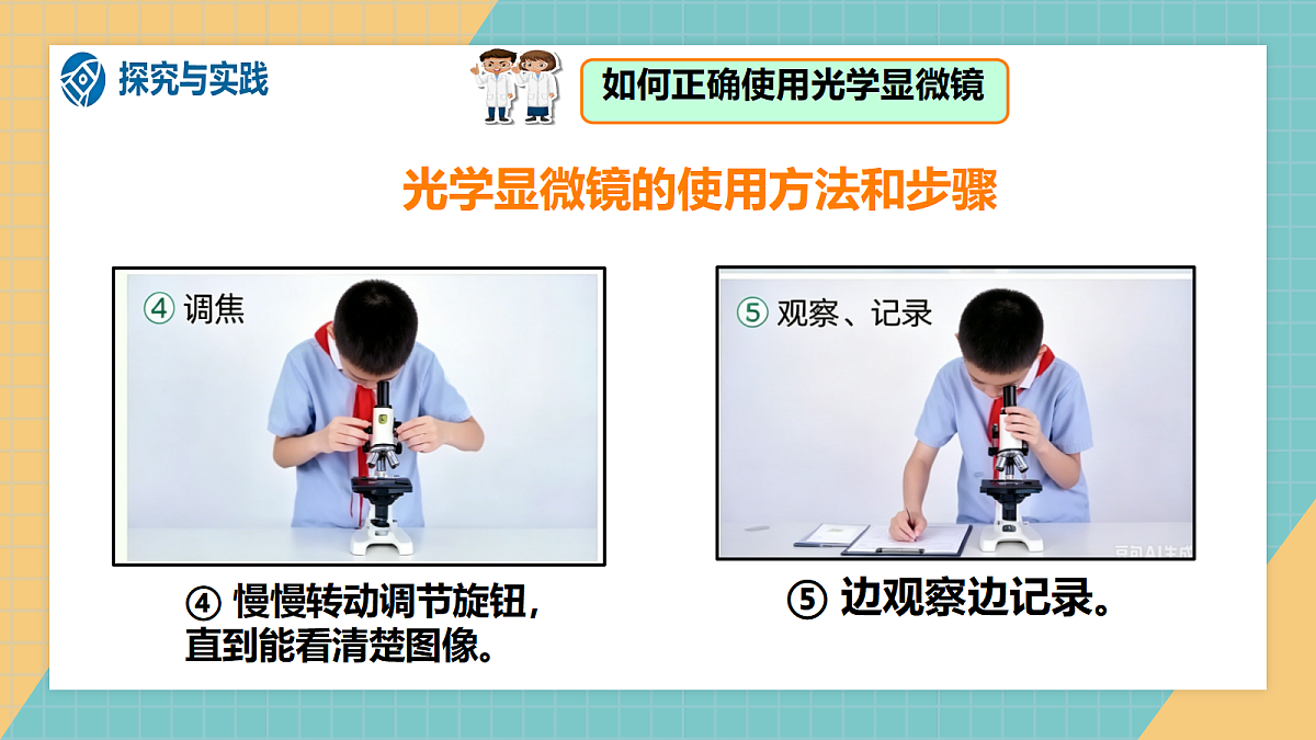 1.1《水中的微小的生物》课件+实验视频第8页