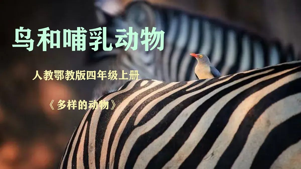 1.2《鸟和哺乳动物》课件（2026新教材）第1页