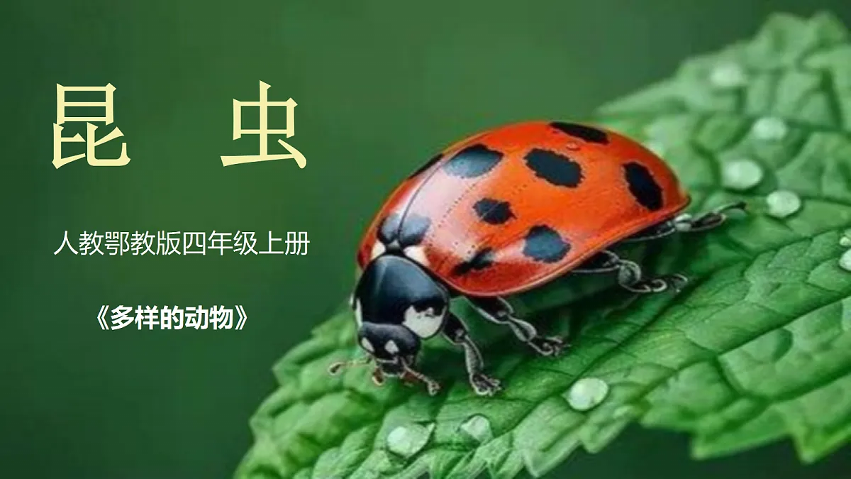 2.1《昆虫》2026新教材第1页