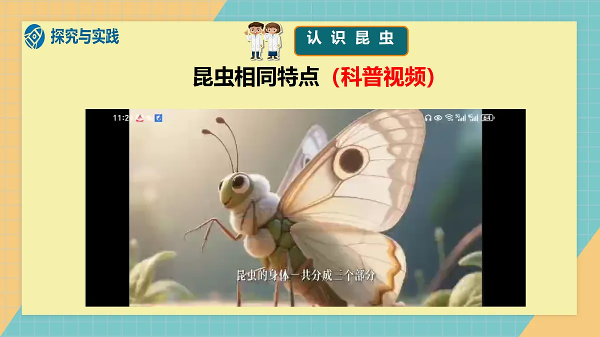 2.1《昆虫》2026新教材第5页
