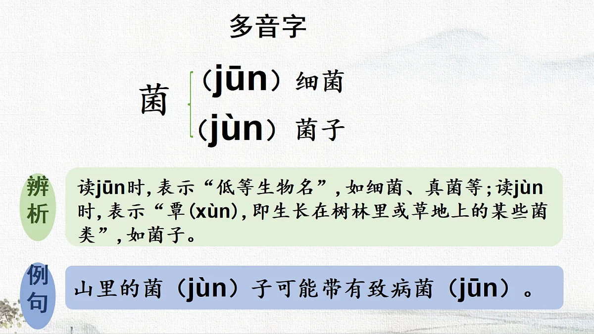 18696576第7页