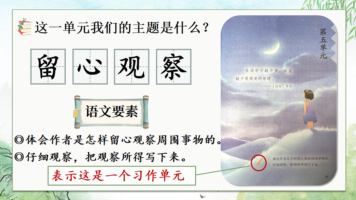 14.搭船的鸟 第一课时第1页