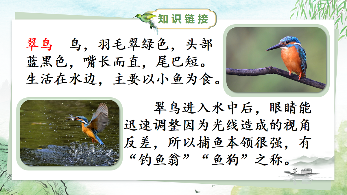 14.搭船的鸟 第一课时第6页