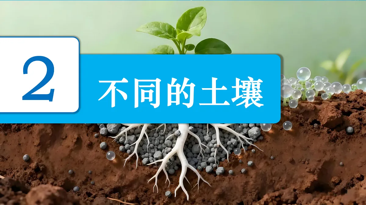 18697817第2页