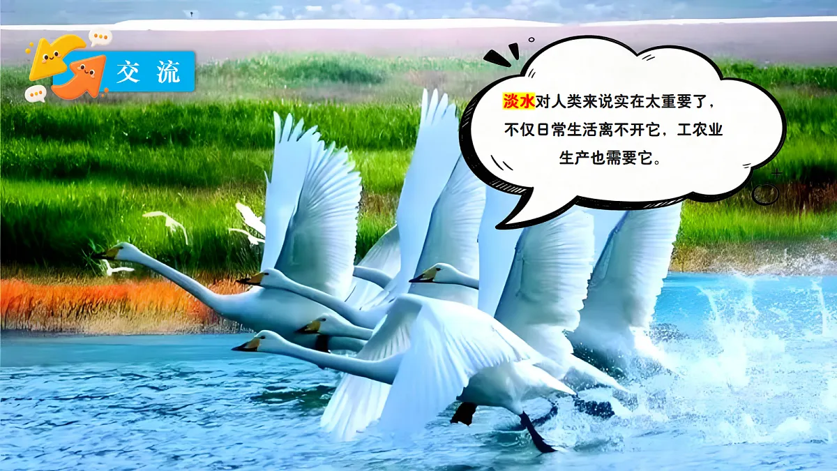 18697823第3页