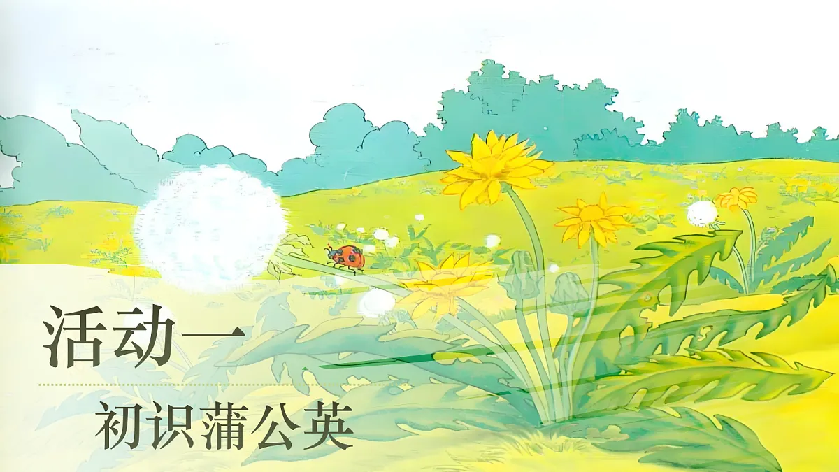 15.金色的草地第2页