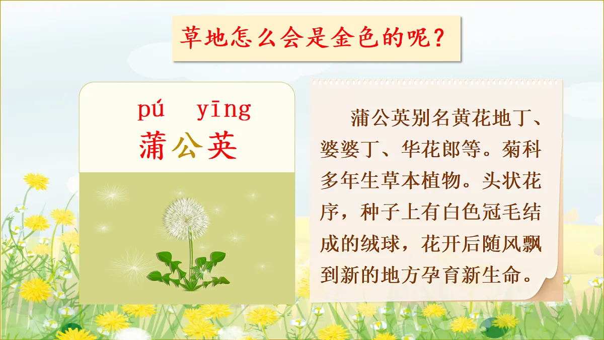 15.金色的草地第4页