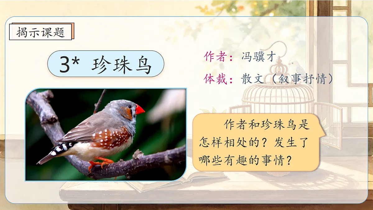 统编版语文五年级上册-3. 珍珠鸟（课件）第3页