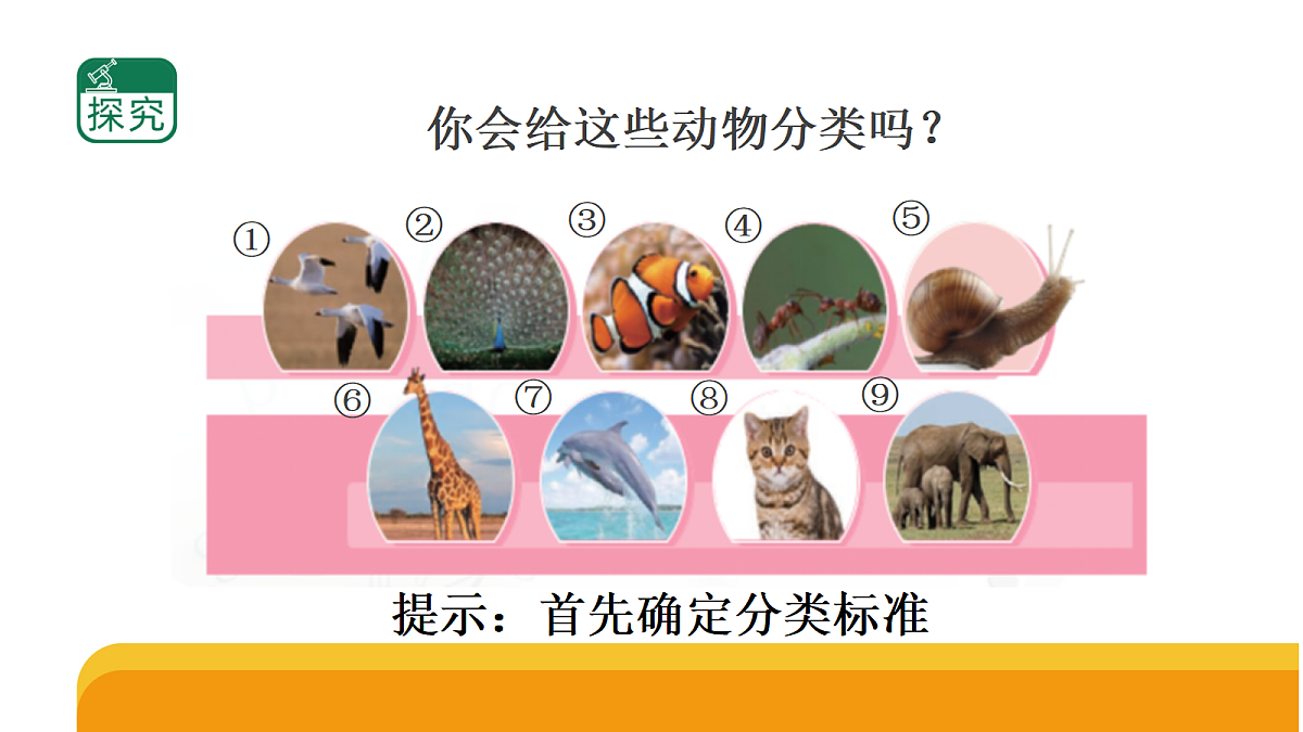 四上 1.1 《给动物分类》第5页
