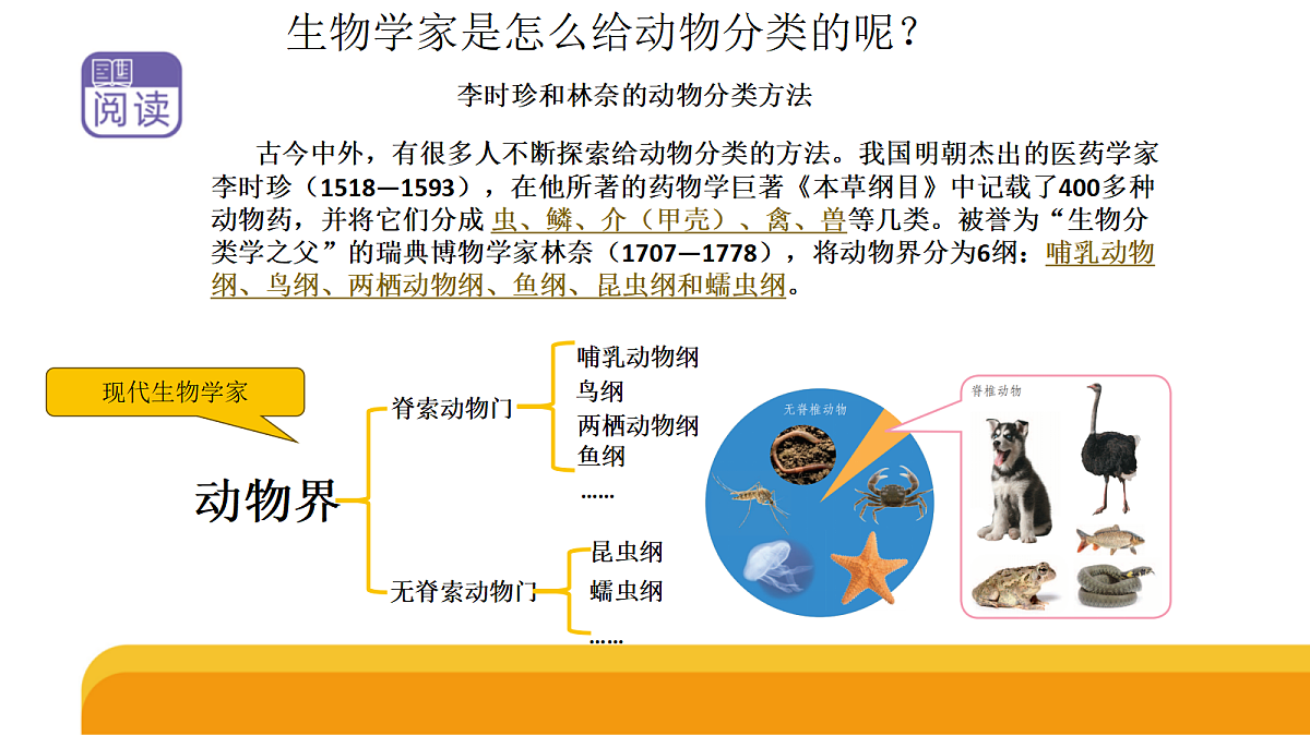 四上 1.1 《给动物分类》第7页