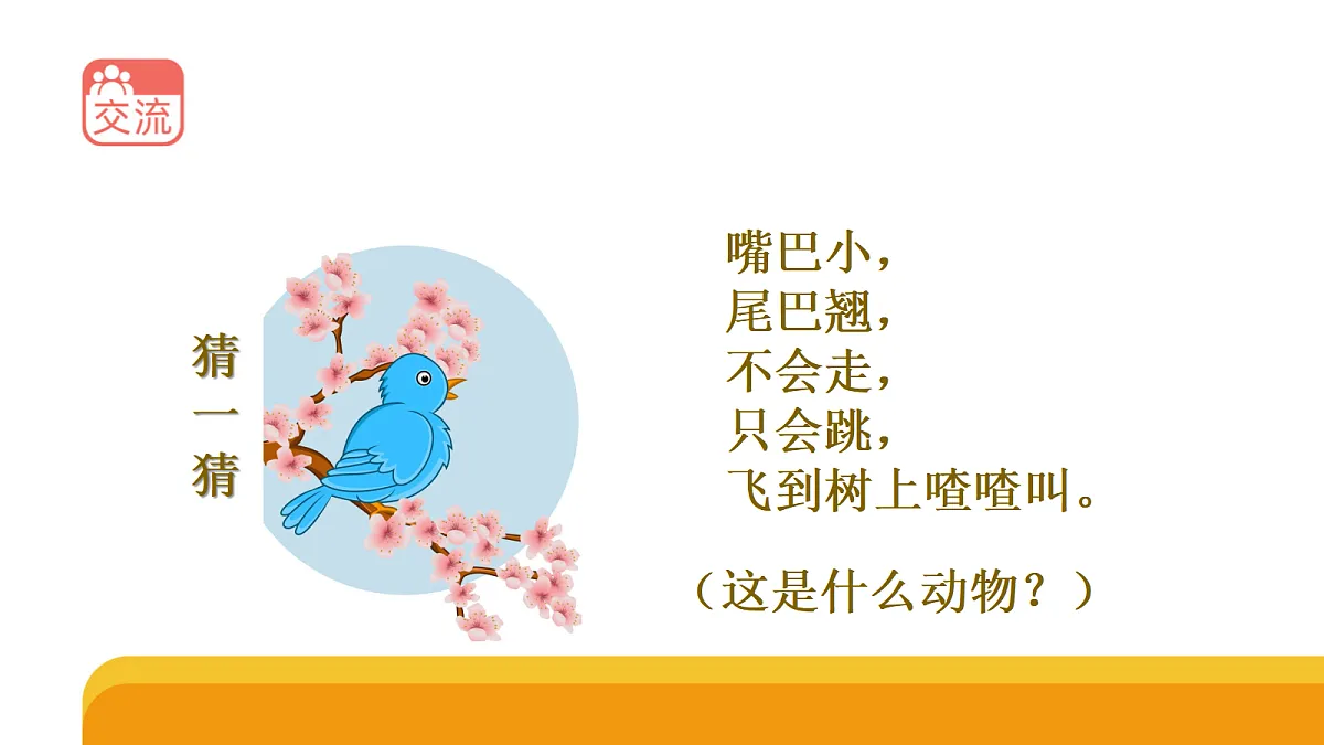 四上 1.3 《鸟类》课件第2页