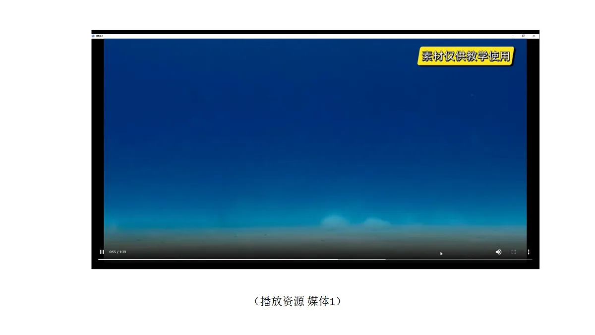 5-19.《海豚与声呐》课件 2026-2027学年苏教版五年级科学上册第2页