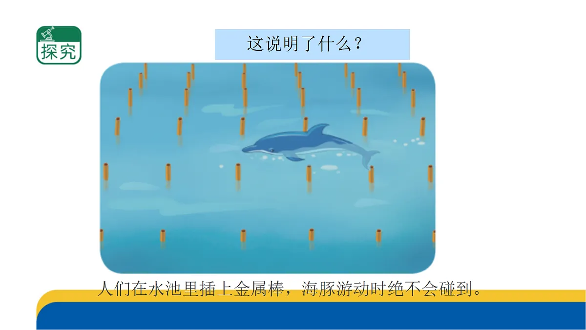 5-19.《海豚与声呐》课件 2026-2027学年苏教版五年级科学上册第3页
