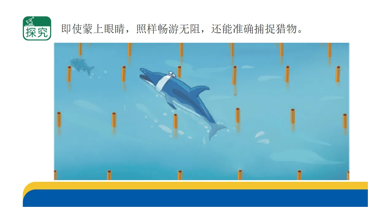 5-19.《海豚与声呐》课件 2026-2027学年苏教版五年级科学上册第4页