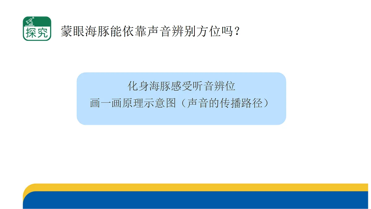 5-19.《海豚与声呐》课件 2026-2027学年苏教版五年级科学上册第6页