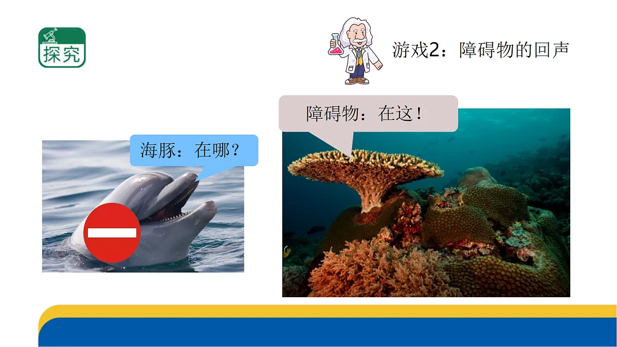 5-19.《海豚与声呐》课件 2026-2027学年苏教版五年级科学上册第8页