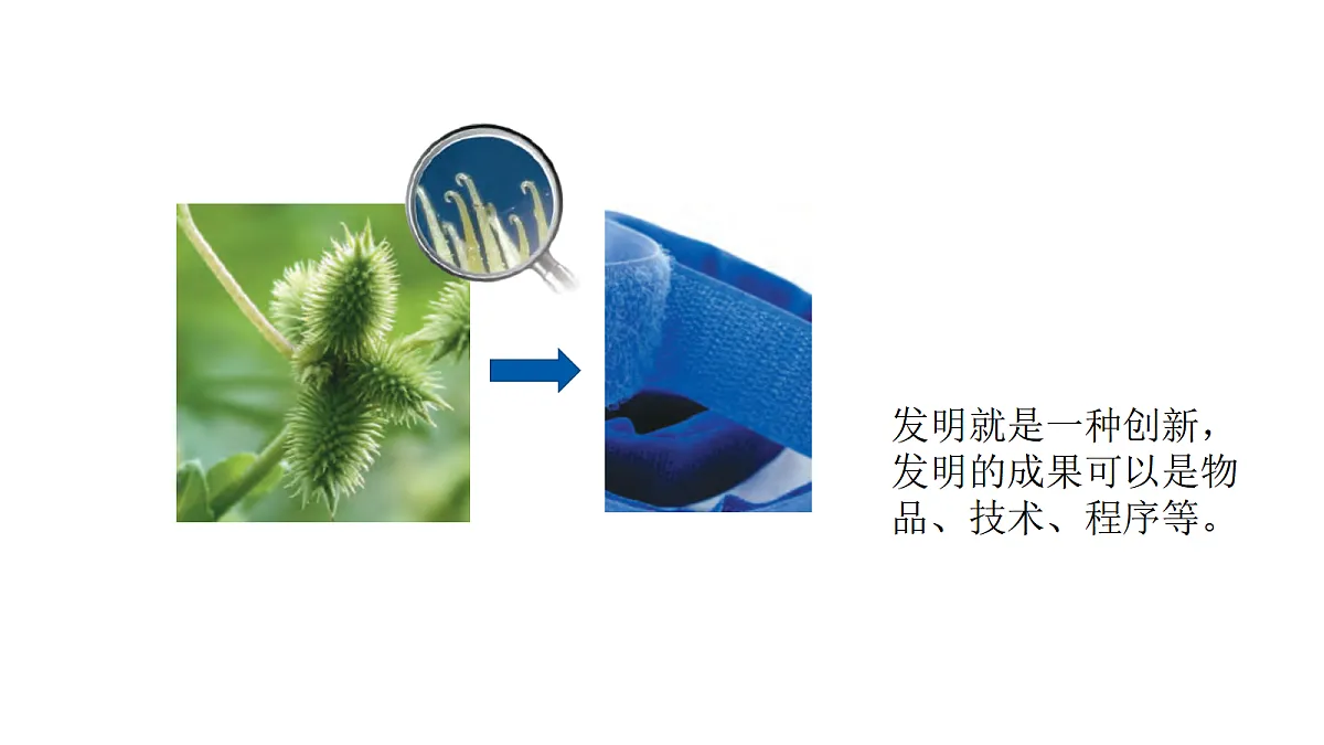 5-17《生物的启示》课件 2026-2027学年苏教版五年级科学上册第5页