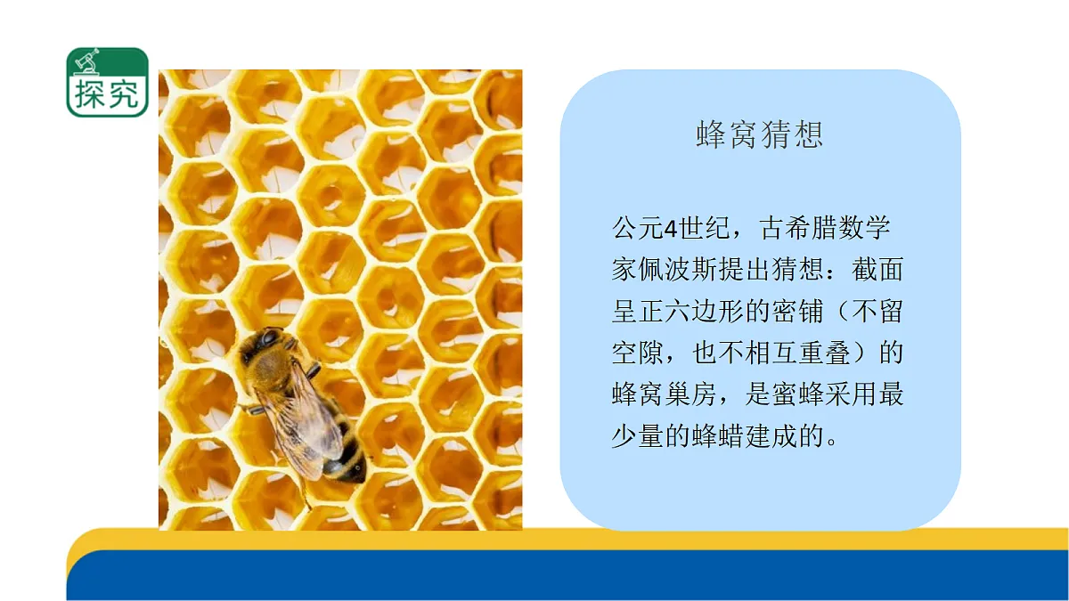 5-17《生物的启示》课件 2026-2027学年苏教版五年级科学上册第6页