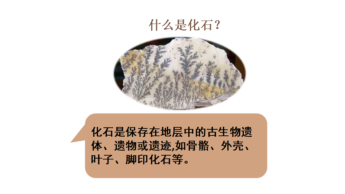 六上2.7《化石告诉我们什么》PPT第2页