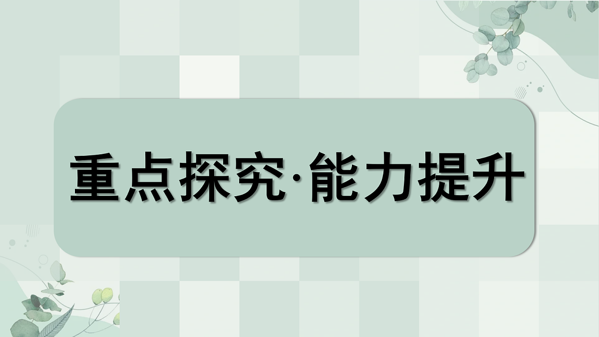 18699878第3页