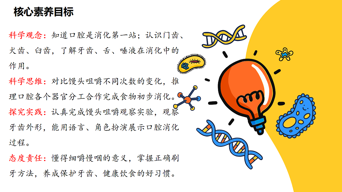 《口腔里的消化》课件第2页