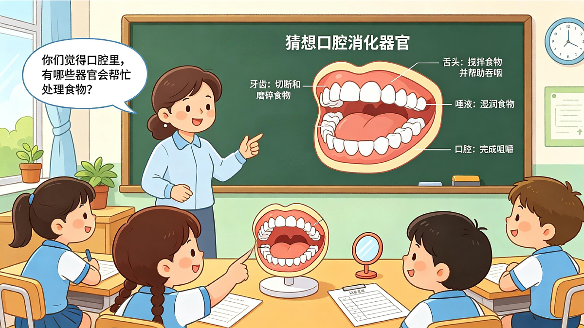 《口腔里的消化》课件第8页