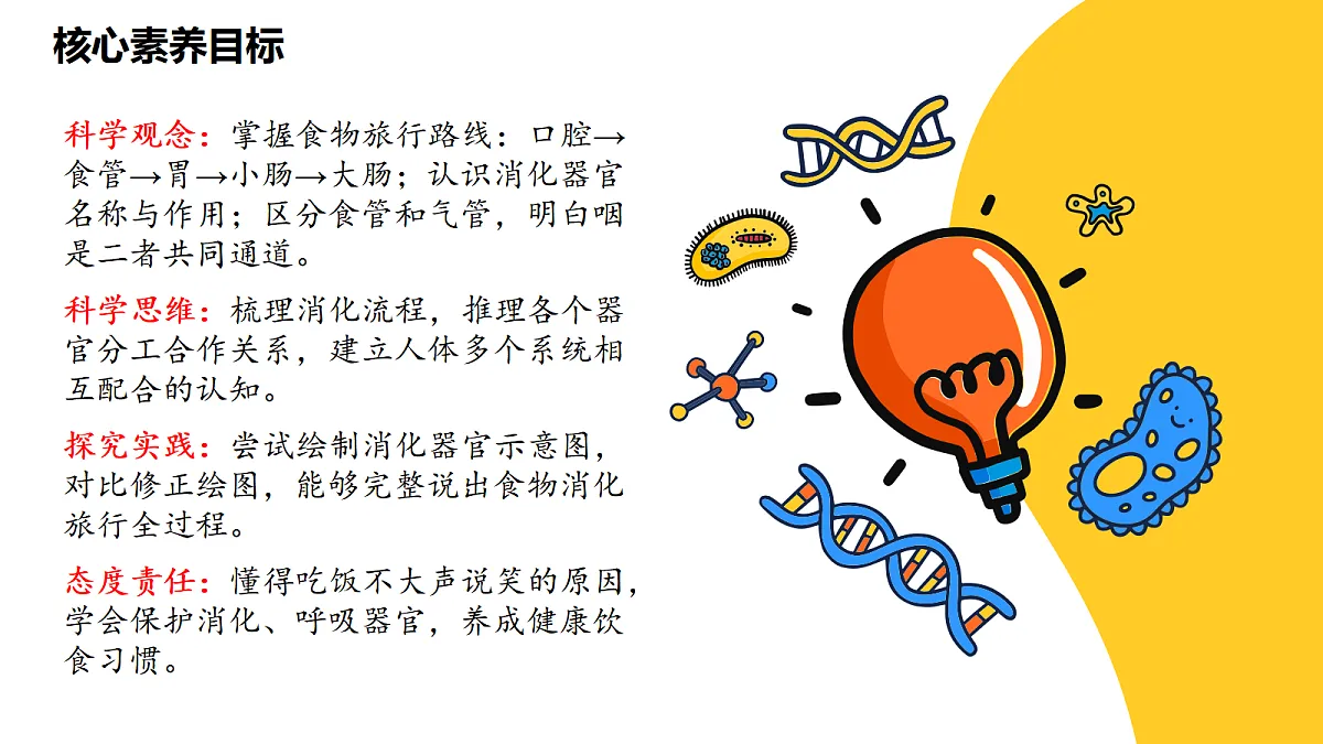 《食物在身体里旅行》课件第2页