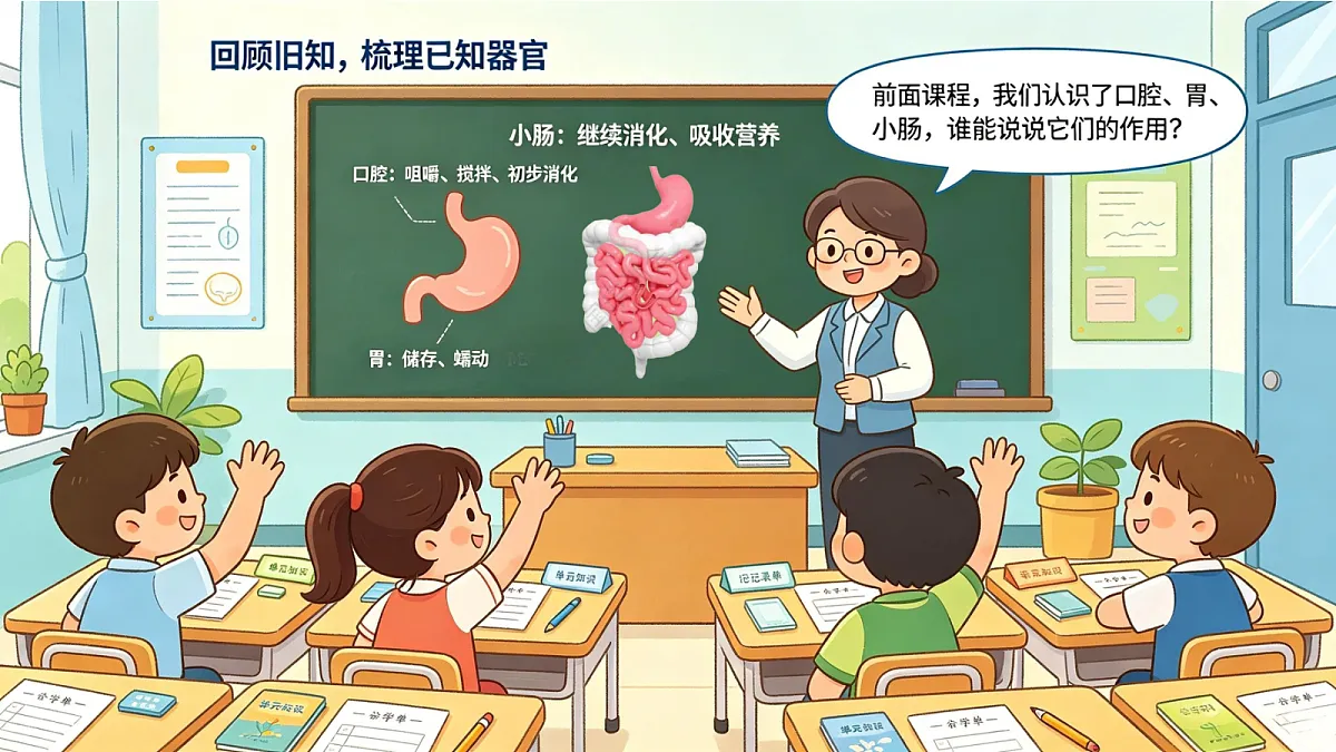 《食物在身体里旅行》课件第7页