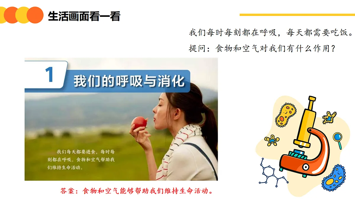 《我们的呼吸与消化》课件第5页