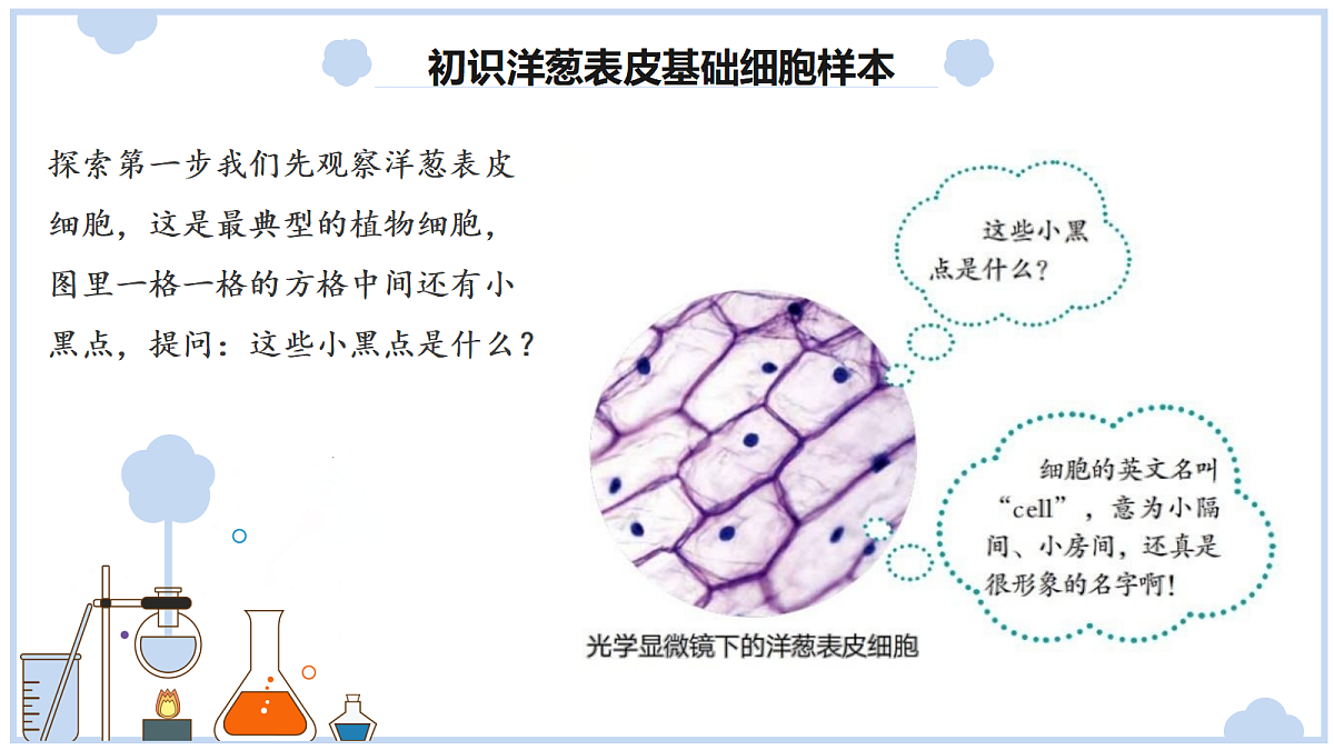《观察细胞》课件第7页