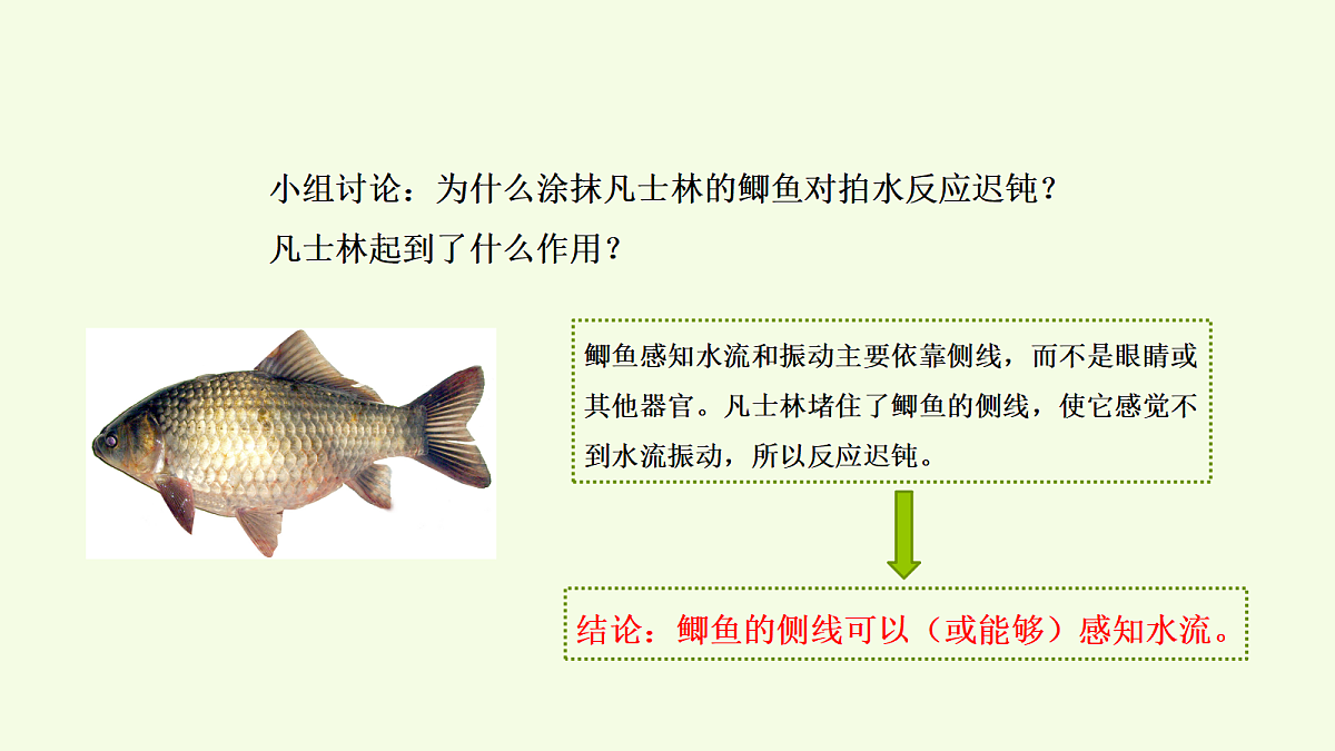 18703829第6页