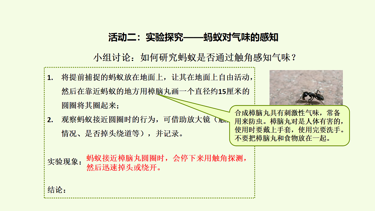 18703829第7页