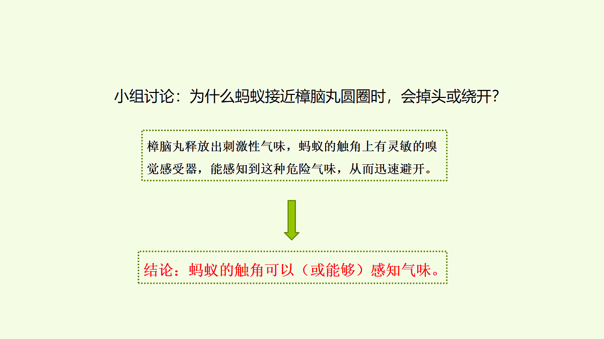 18703829第8页