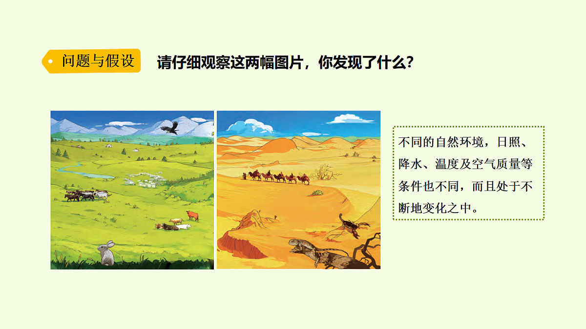 18703833第2页