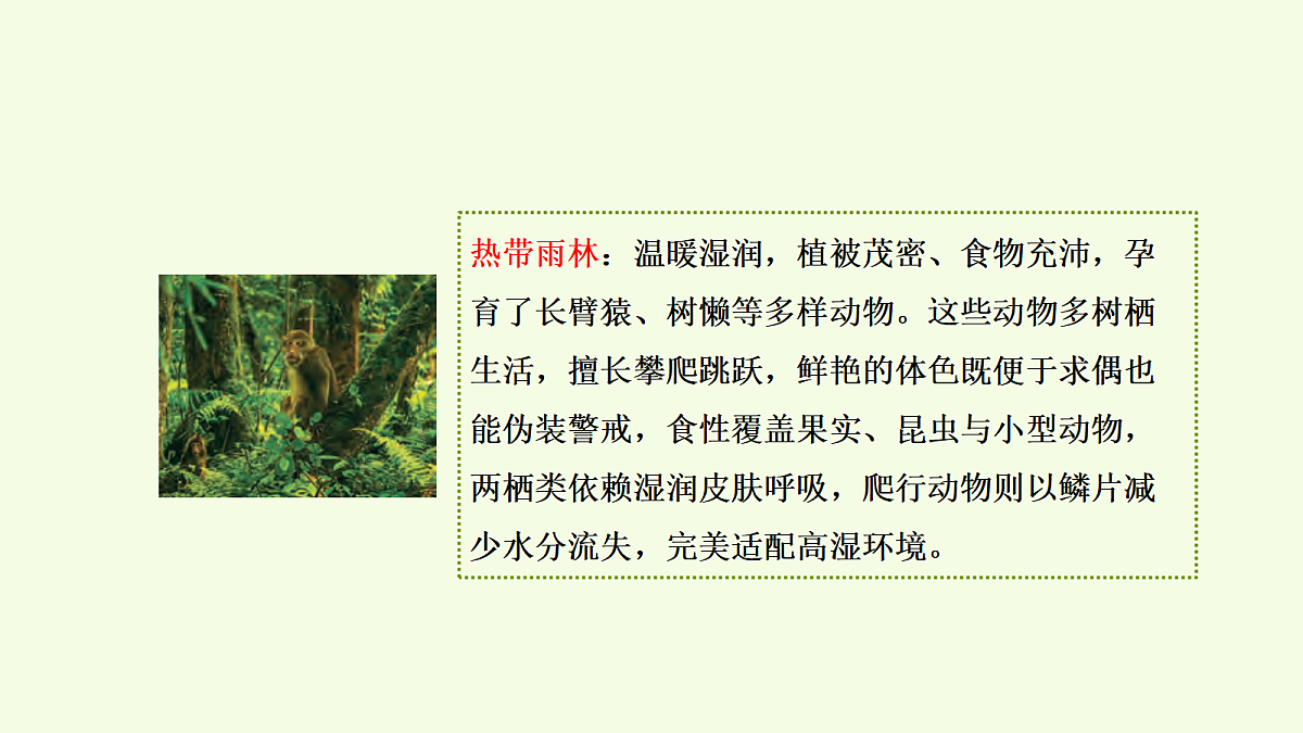 18703833第5页