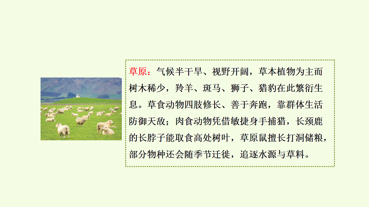 18703833第7页