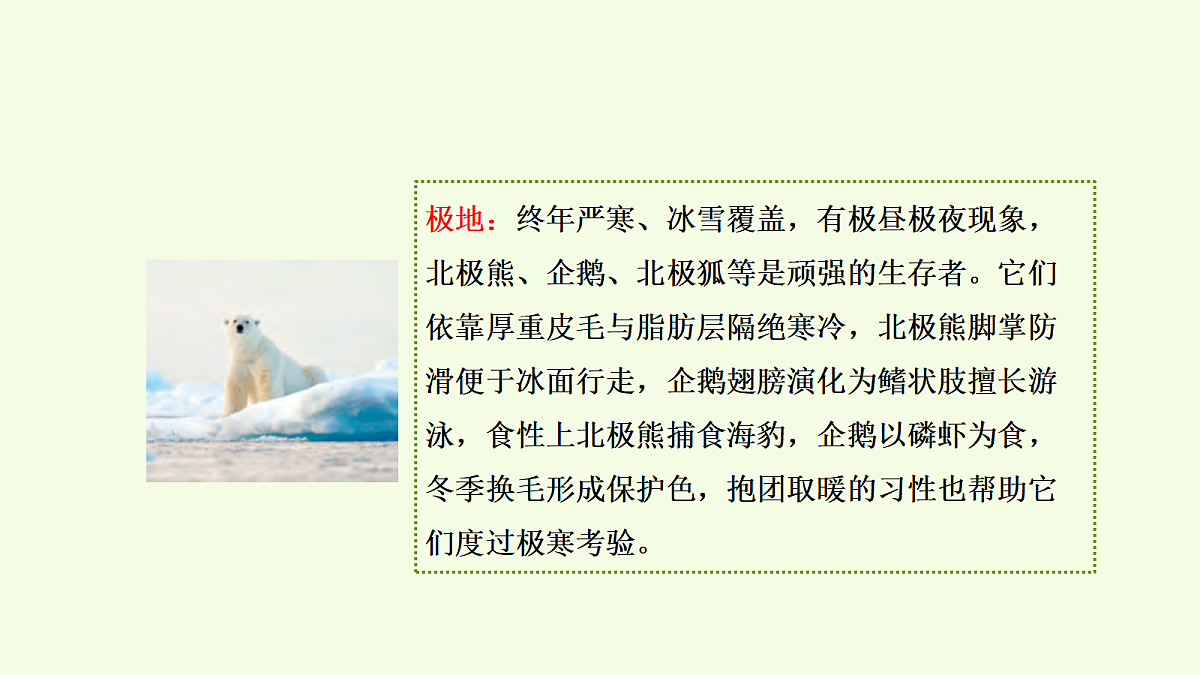 18703833第8页