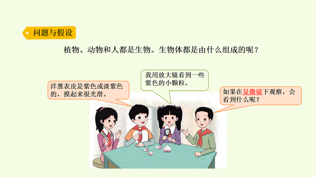 18703869第2页