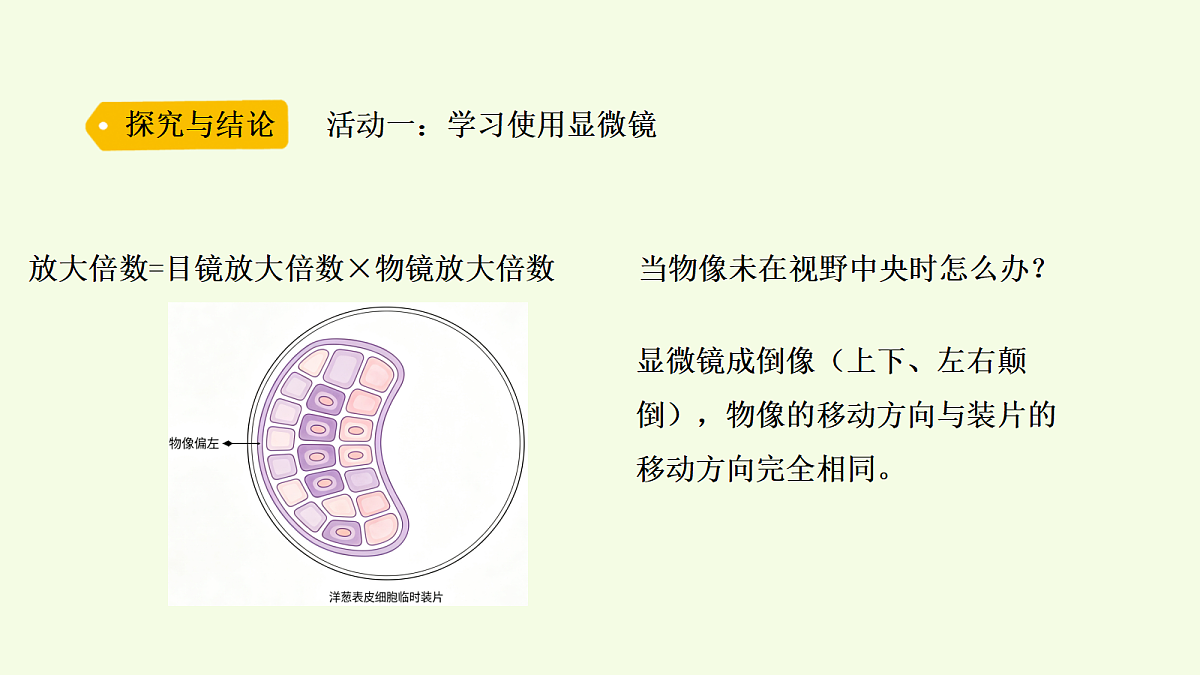 18703869第7页