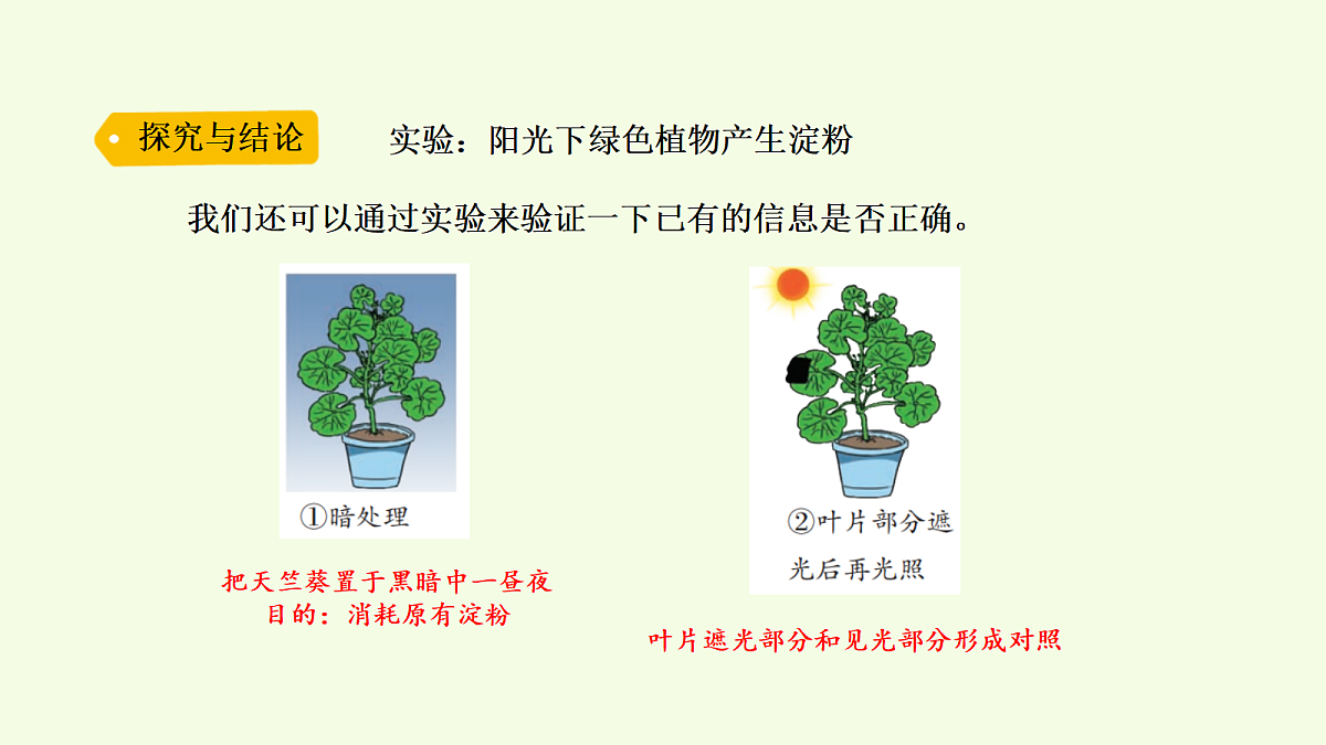 18703882第6页