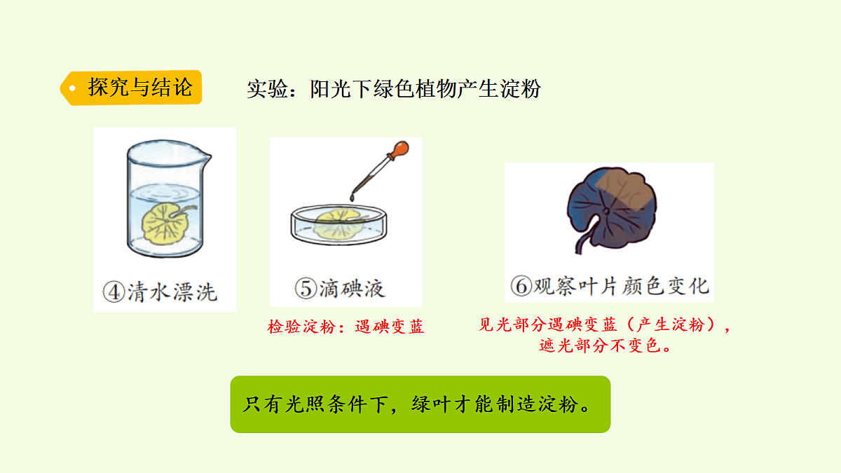 18703882第8页