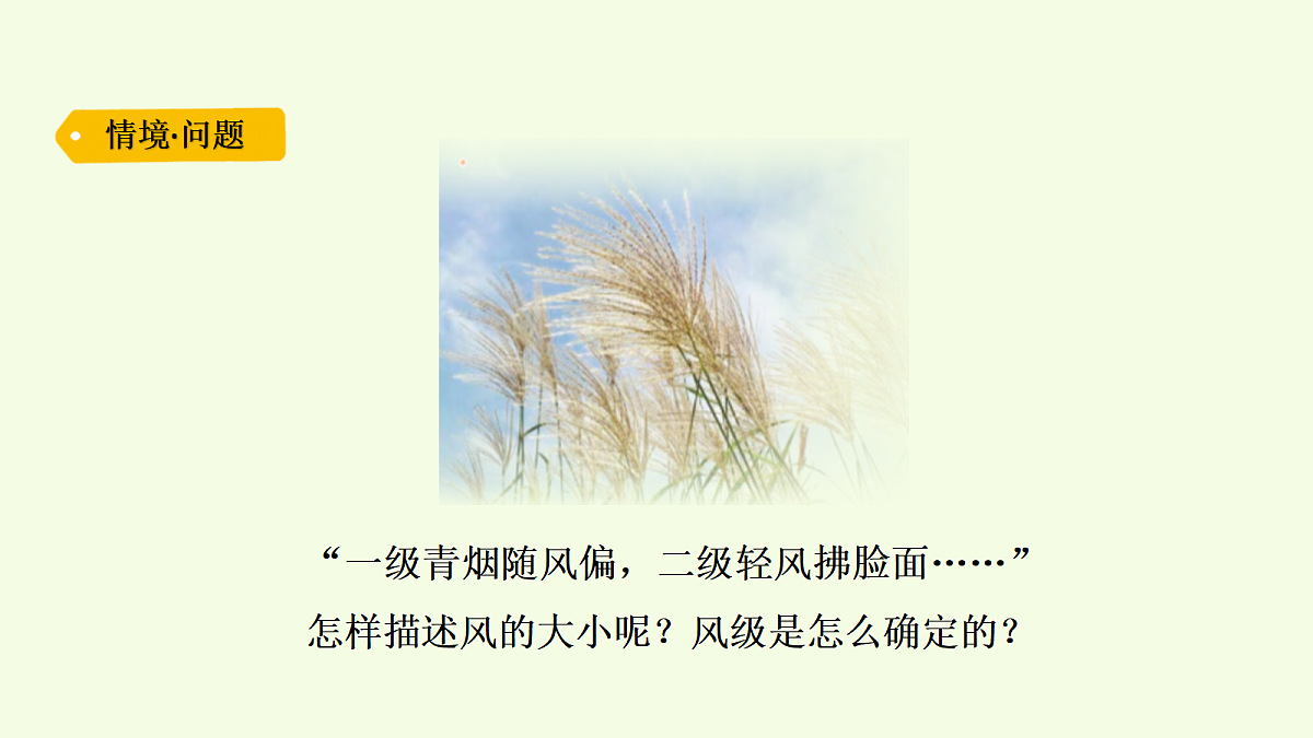 18703909第2页