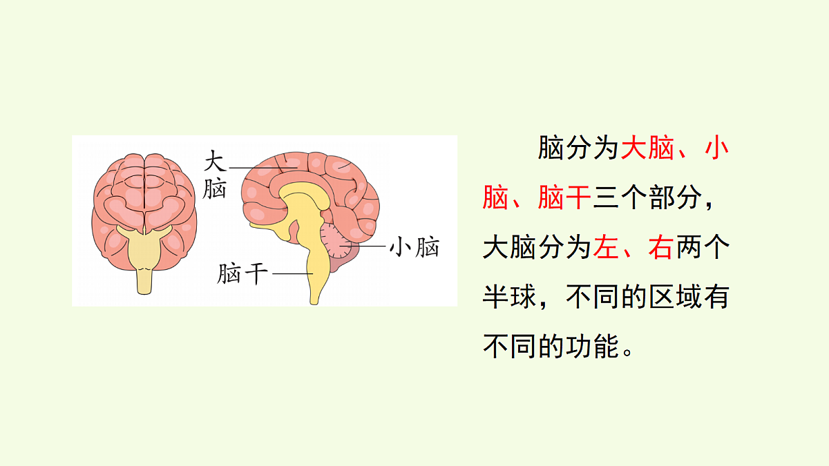 18703925第5页