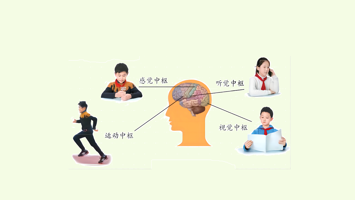 18703925第7页