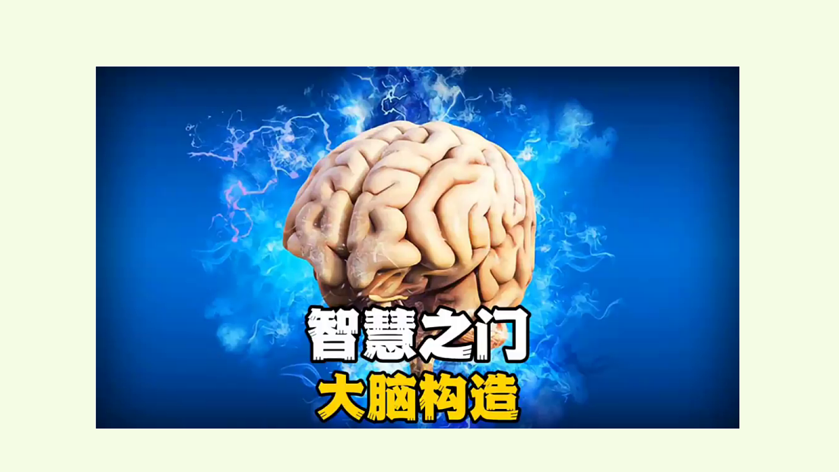 18703925第8页