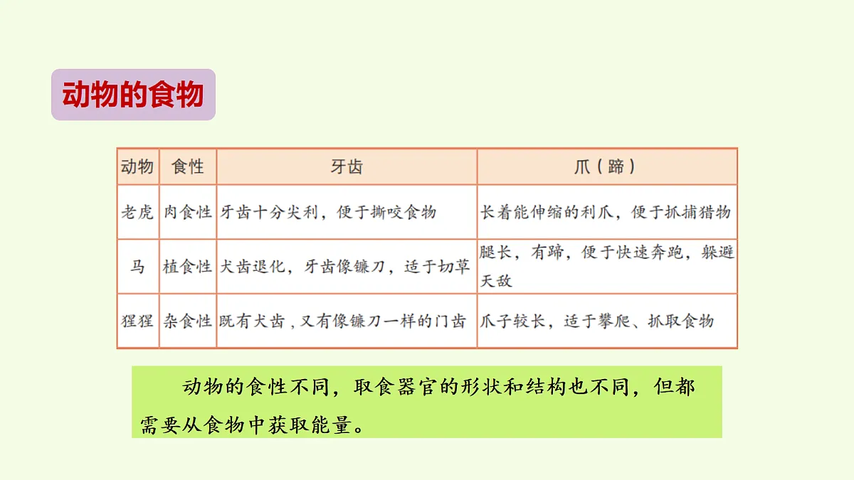 18703952第8页
