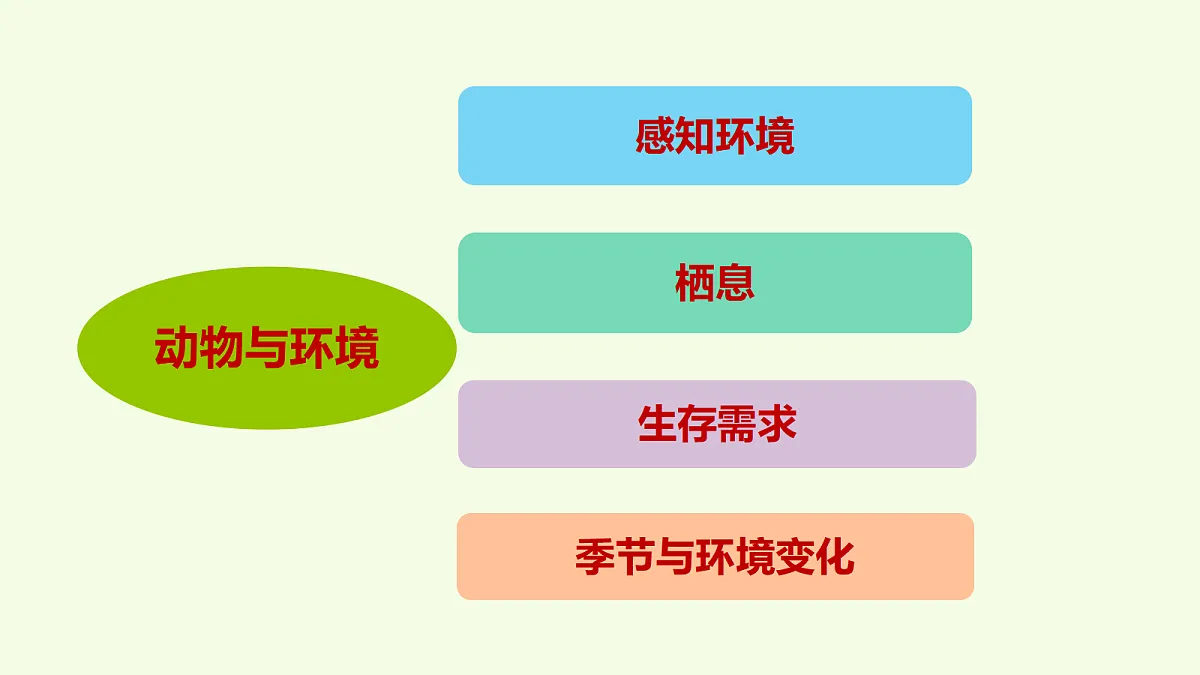 18704048第2页