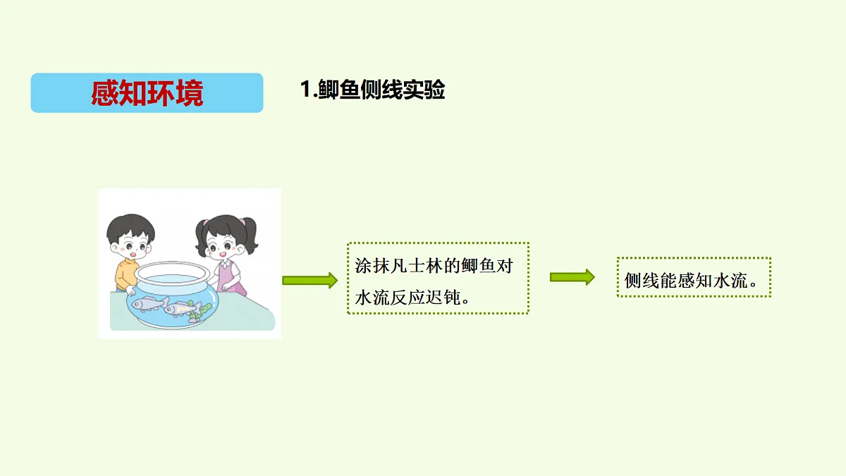 18704048第4页